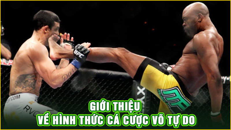 giới thiệu về hình thức cá cược võ tự do